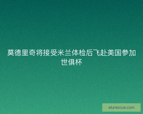 莫德里奇将接受米兰体检后飞赴美国参加世俱杯