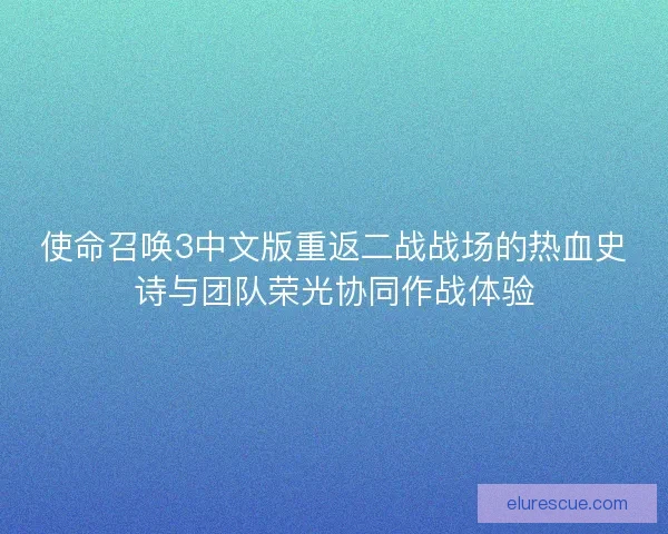 使命召唤3中文版重返二战战场的热血史诗与团队荣光协同作战体验 使命召唤3中文版重返二战战场的热血史诗与团队荣光协同作战体验