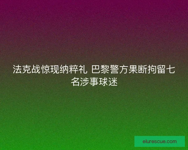 法克战惊现纳粹礼 巴黎警方果断拘留七名涉事球迷
