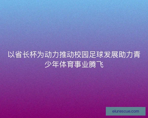以省长杯为动力推动校园足球发展助力青少年体育事业腾飞 以省长杯为动力推动校园足球发展助力青少年体育事业腾飞