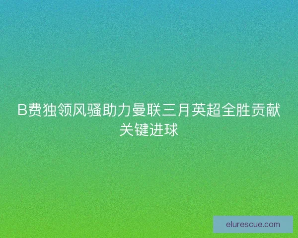B费独领风骚助力曼联三月英超全胜贡献关键进球
