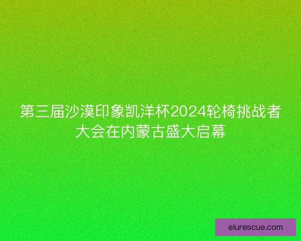 第三届沙漠印象凯洋杯2024轮椅挑战者大会在内蒙古盛大启幕