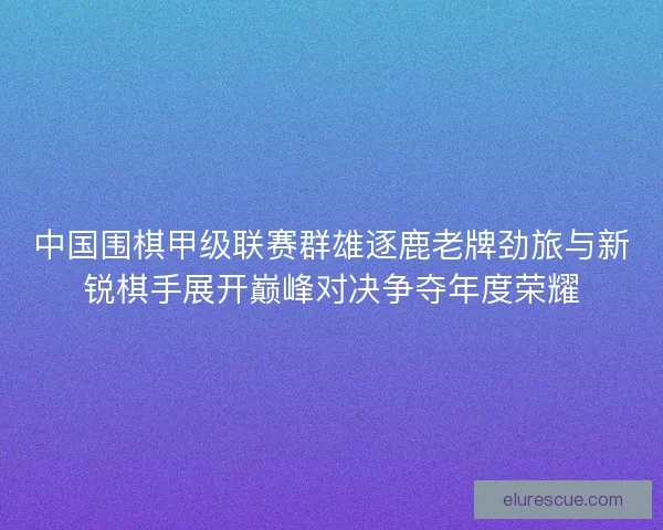 中国围棋甲级联赛群雄逐鹿老牌劲旅与新锐棋手展开巅峰对决争夺年度荣耀