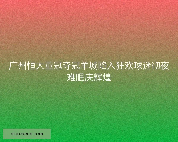广州恒大亚冠夺冠羊城陷入狂欢球迷彻夜难眠庆辉煌